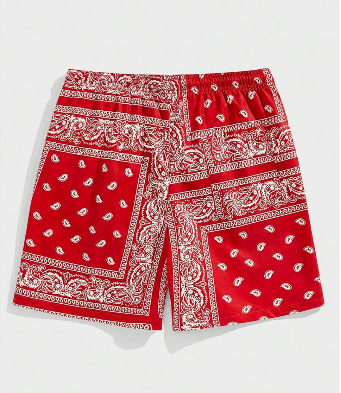 Floerns Boho Paisley Graphic Print Drawstring Waist Essentials Summer Bandana Shorts with Pocket
